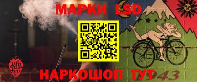 ALPHA PVP Пыть-Ях