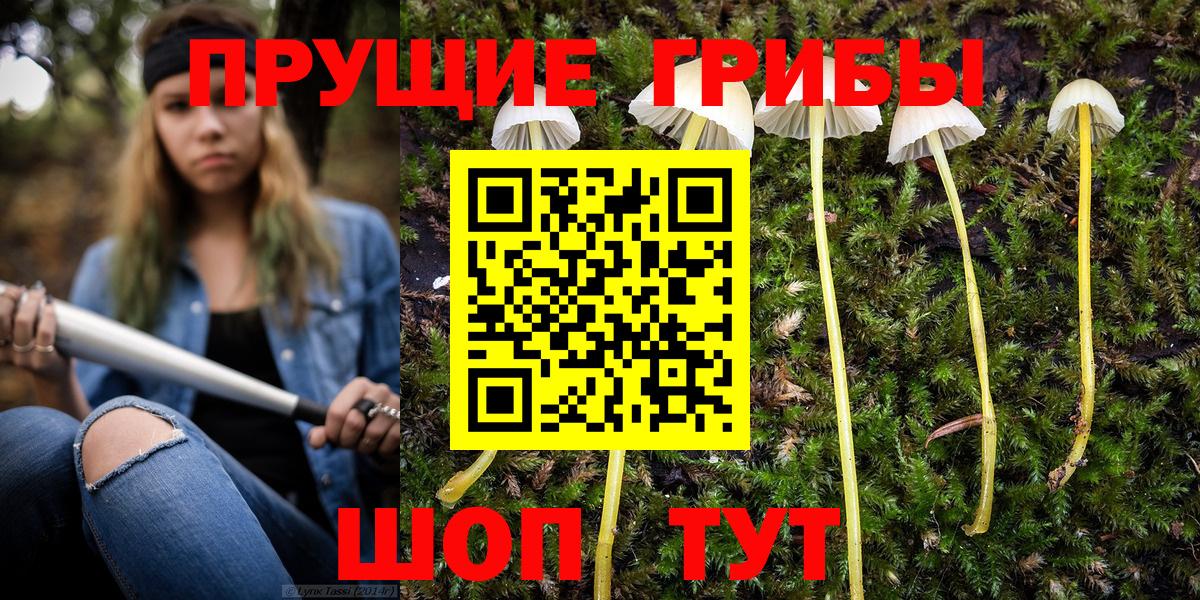 Псилоцибиновые грибы прущие грибы  купить наркоту  Новозыбков  Вход с VPN 